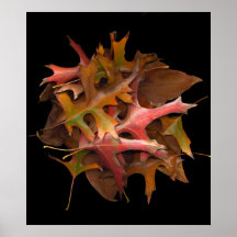 Hoja Posters