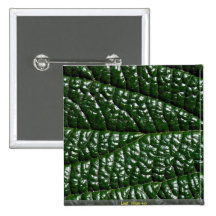 Hoja, primer pins