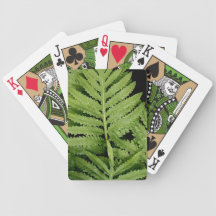Hoja tropical barajas