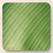 Hoja verde del plátano posavaso