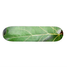 Hoja verde grande patín