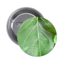 Hoja verde grande pin
