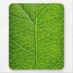 Hoja verde tapetes de raton