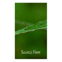 Hojas brillantes del verde tarjetas de negocios