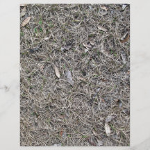 Hojas caidas en textura del fondo de la hierba sec tarjetones