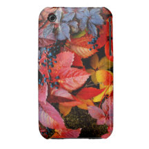 Hojas coloreadas caidas - caso del diseño del otoñ iPhone 3 Case-Mate funda