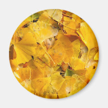Hojas de Biloba del Ginkgo Imanes De Nevera