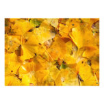 Hojas de Biloba del Ginkgo Invitación