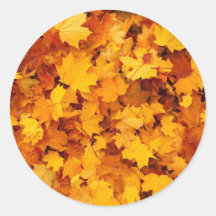Hojas de la caída del naranja y del amarillo pegatina redonda