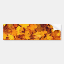 Hojas de la caída del naranja y del amarillo etiqueta de parachoque