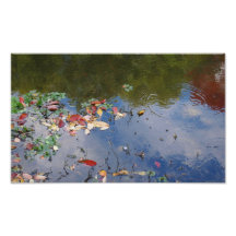 Hojas de la caída en agua impresion fotografica