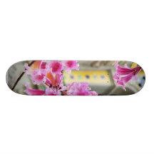 Hojas de la hoja de los arcos de los pétalos de la tabla de skate