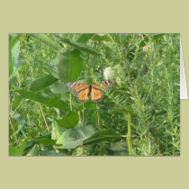 Hojas de la mariposa tarjetas