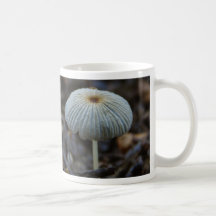 Hojas de la suciedad de las setas tazas de café