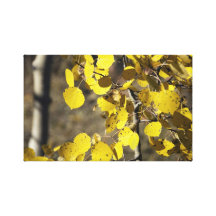 Hojas de oro de Aspen Impresion En Lona