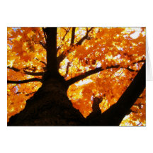 Hojas de otoño en el campo Notecard del col Tarjetas
