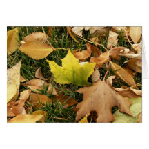 Hojas de otoño felicitacion 