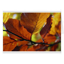 Hojas de otoño felicitaciones