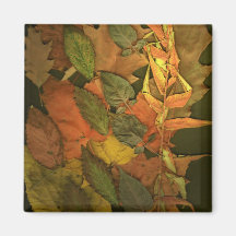Hojas de otoño imán