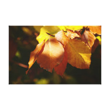Hojas de otoño impresión de lienzo