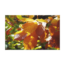 Hojas de otoño impresion en lona