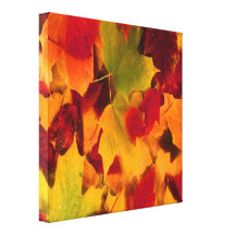 HOJAS DE OTOÑO IMPRESIONES DE LIENZO