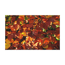 Hojas de otoño lienzo envuelto para galerías