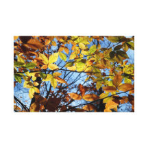 Hojas de otoño impresiones en lona estiradas