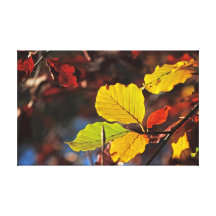 Hojas de otoño lona envuelta para galerias
