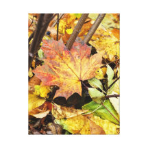 Hojas de otoño - lona envuelta premio lona envuelta para galerias
