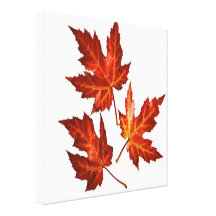 HOJAS DE OTOÑO LONA ESTIRADA GALERIAS