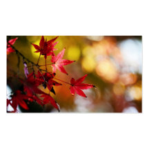 Hojas de otoño plantilla de tarjeta de visita