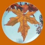 hojas de otoño platos