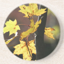 Hojas de otoño posavasos manualidades