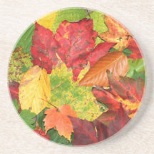 Hojas de otoño posavasos para bebidas