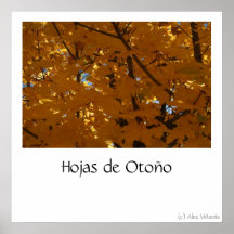 Hojas de Otoño Posters