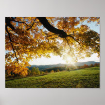 Hojas de otoño posters