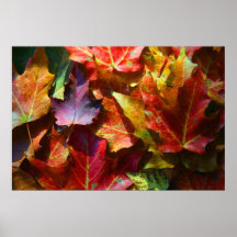 Hojas de otoño poster