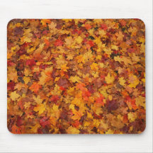 Hojas de otoño rojo marrón del naranja y del amari tapete de ratón