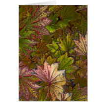 Hojas de otoño - tarjeta de felicitación