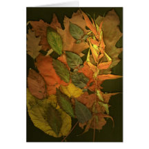 Hojas de otoño tarjeton