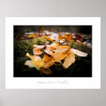 Hojas de otoño, Wicklow Posters