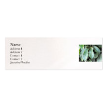 Hojas del jardín tarjetas personales