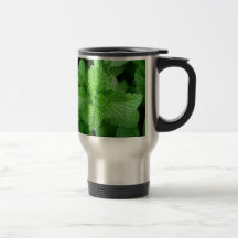 HOJAS DEL VERANO TAZAS