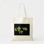 Hojas del verde contra fondo oscuro bolsa