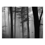 HOJAS MISTERIOSAS B&W DE LOS ÁRBOLES FORESTALES COMUNICADO PERSONAL  