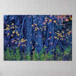 Hojas que cambian al principio de otoño poster