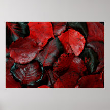 Hojas rojas, poster, enorme
