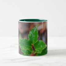 hojas tazas