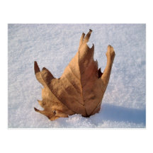 Hojee en la nieve, cuando el otoño resuelve el inv tarjetas postales